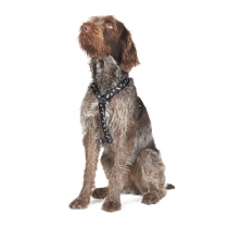 Ancol Padded Nylon Harness Red Size 3-4 : (15-19)