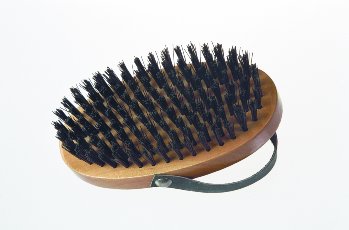 Ancol Pet Products Ancol De-Luxe Oval Brush and Strap