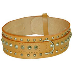 staffordshire bull terrier collar presence