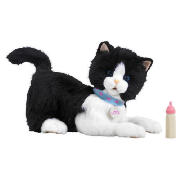 Animagic Smudge My Cute Kitten