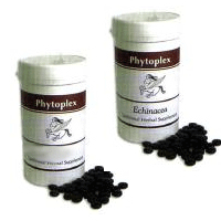 Animal Alternatives Phytoplex: Traditional Herbal Supplements - Yarrow