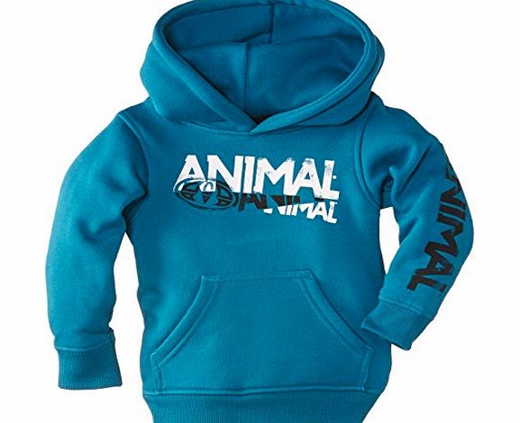 Animal Boys Fallin Hoodie, Blue (Teal), 5 Years (Manufacturer Size:5/6)