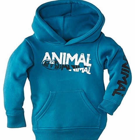 Animal Boys Fallin Hoodie, Blue (Teal), 7 Years (Manufacturer Size:X-Small)