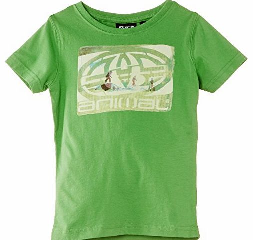 Boys Heeledge T-Shirt, Green, 13 Years (Manufacturer Size:Large)