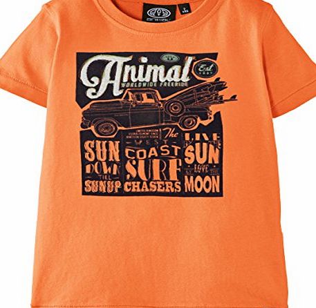Animal Boys Hilper T-Shirt, Orange (Nectarine), 11 Years (Manufacturer Size:Medium)