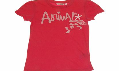 Girls Animal Rumblebugs Tee Shirt. Pink Flamingo