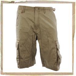 Animal Moth Cargo Short Fossil