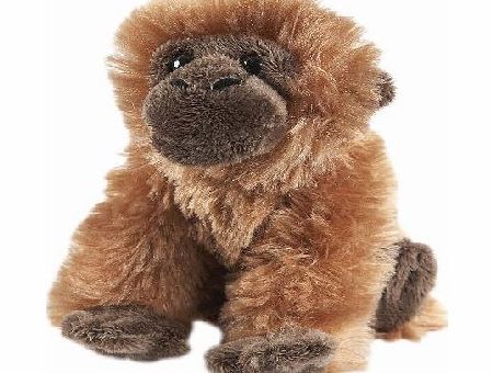 animal Planet 6` Rainforest - Orangutan