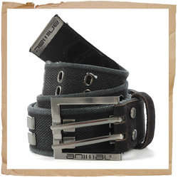Rotter Worn Belt Black