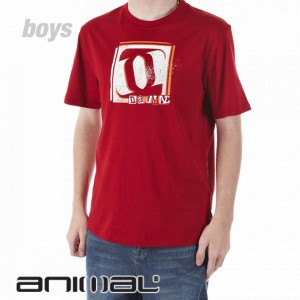 Animal T-Shirts - Animal Baja Boys T-Shirt -