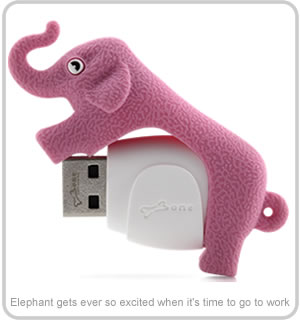 Animal USB Flash Drives