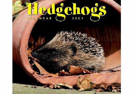 Hedgehogs 2006 Calendar