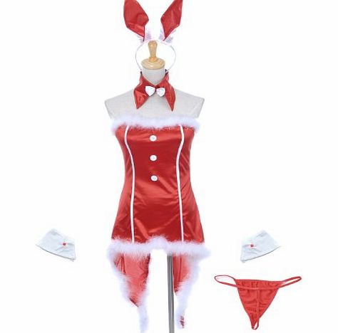 Anna-Kaci S/M Fit Red Satin Shiny Christmas Theme Playboy Bunny Inspired Costume
