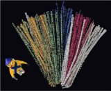 100 Glitter Pipe Cleaners