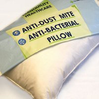 Anti Allergy Dust Mite Proof Pillow
