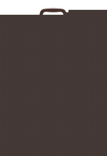 Camden B1 Cabin Spinner Suitcase