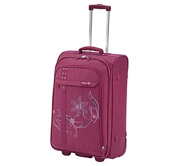 Antler Organza Medium Roller Case Raspberry