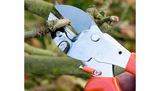 Anvil Secateurs - Standard