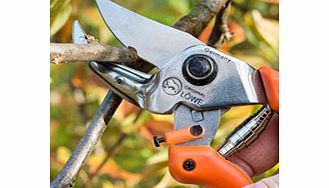 Anvil Secateurs Curved Blade