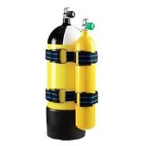 AP Valves Buddy Pony Bands