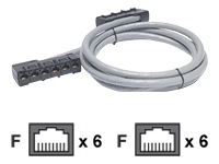 Data Distribution Cable - network cable - 5.7 m