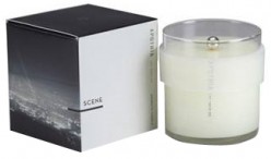 Apothia SCENTED CANDLE - SCENE (250G)