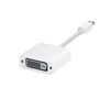 APPLE Mini DisplayPort MB570Z/A DVI adapter