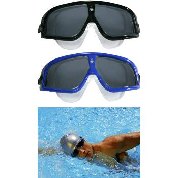 Aqua Sphere Seal Goggles Tinted Lens