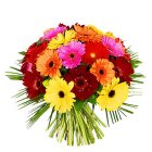 Arena Flowers Gerbera Bouquet