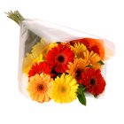 Arena Flowers Gerbera Delight