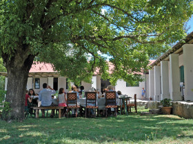 Argentina horse riding Estancia