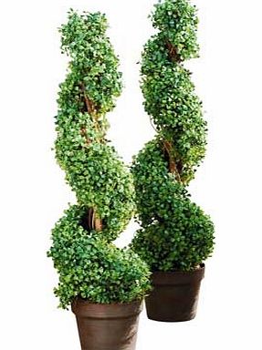 Argos Artificial 91cm Eucalyptus Topiary Twist - Pack