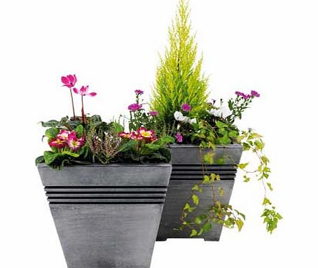 Argos Milano Square Planter - Pack of 2