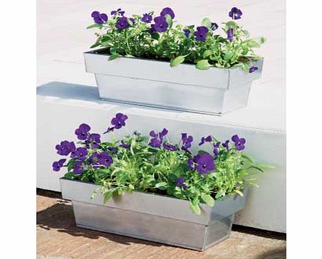 Argos Zinc Natural Trough Planter - Pack of 2