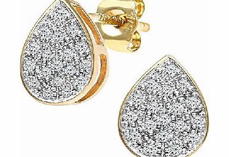 Ariel 9ct Yellow Gold Ladies 15pt Diamond Earrings