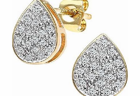 Ariel 9ct Yellow Gold Ladies 15pt Diamond Earrings