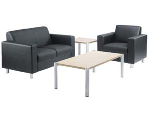 Ariel leather reception seating