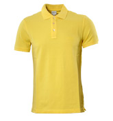 Collezioni Yellow Polo Shirt and Sweater