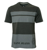 Armani Jeans Light and Dark Grey Stripe T-Shirt
