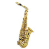 Arnold ASA 100 Alto Saxophone