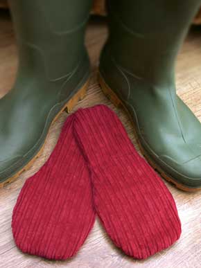 Aroma Home Ladies and Mens 1 Pair Aroma Welly Warmers Scented With Cypress and Lemon Grass Essential Oils In 3