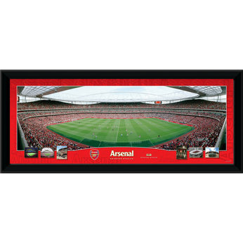 Arsenal Match in Action (26x11)
