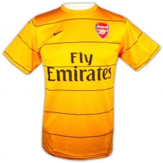 Nike 08-09 Arsenal Training Jersey (yellow)