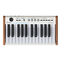 Analog Experience The Player 25 Key