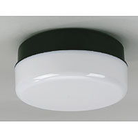 ASD Drum Light Black Opal 100W