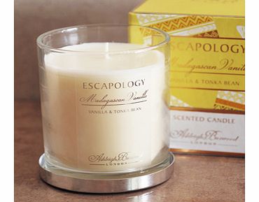 Ashleigh and Burwood Escapology Madagascan