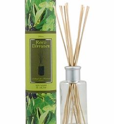 Ashleigh and Burwood Fragrance Reed Diffuser Fig Leaf and Olive Fig