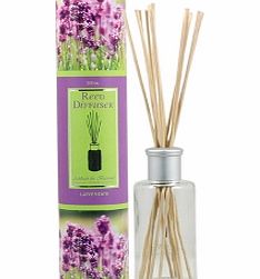 Ashleigh and Burwood Fragrance Reed Diffuser Lavender Lavender