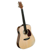 Ashton Music D300SEQ Electro-Acoustic Guitar