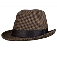 Ashworth Fedorat Hat